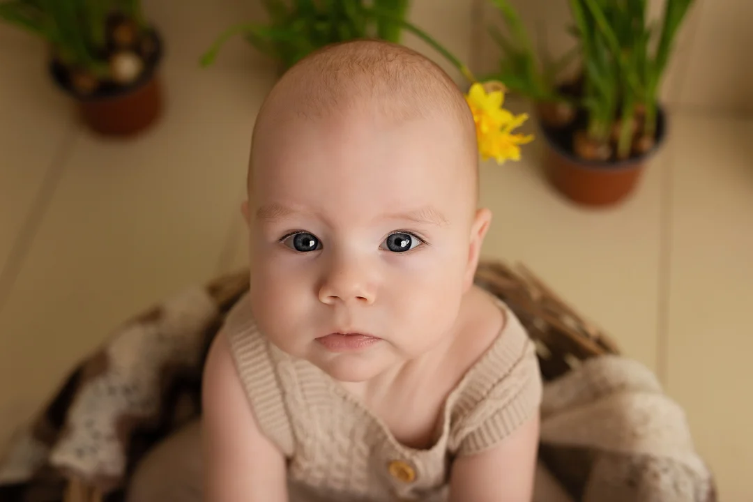 pirmo gimtadienio fotosesija galerija