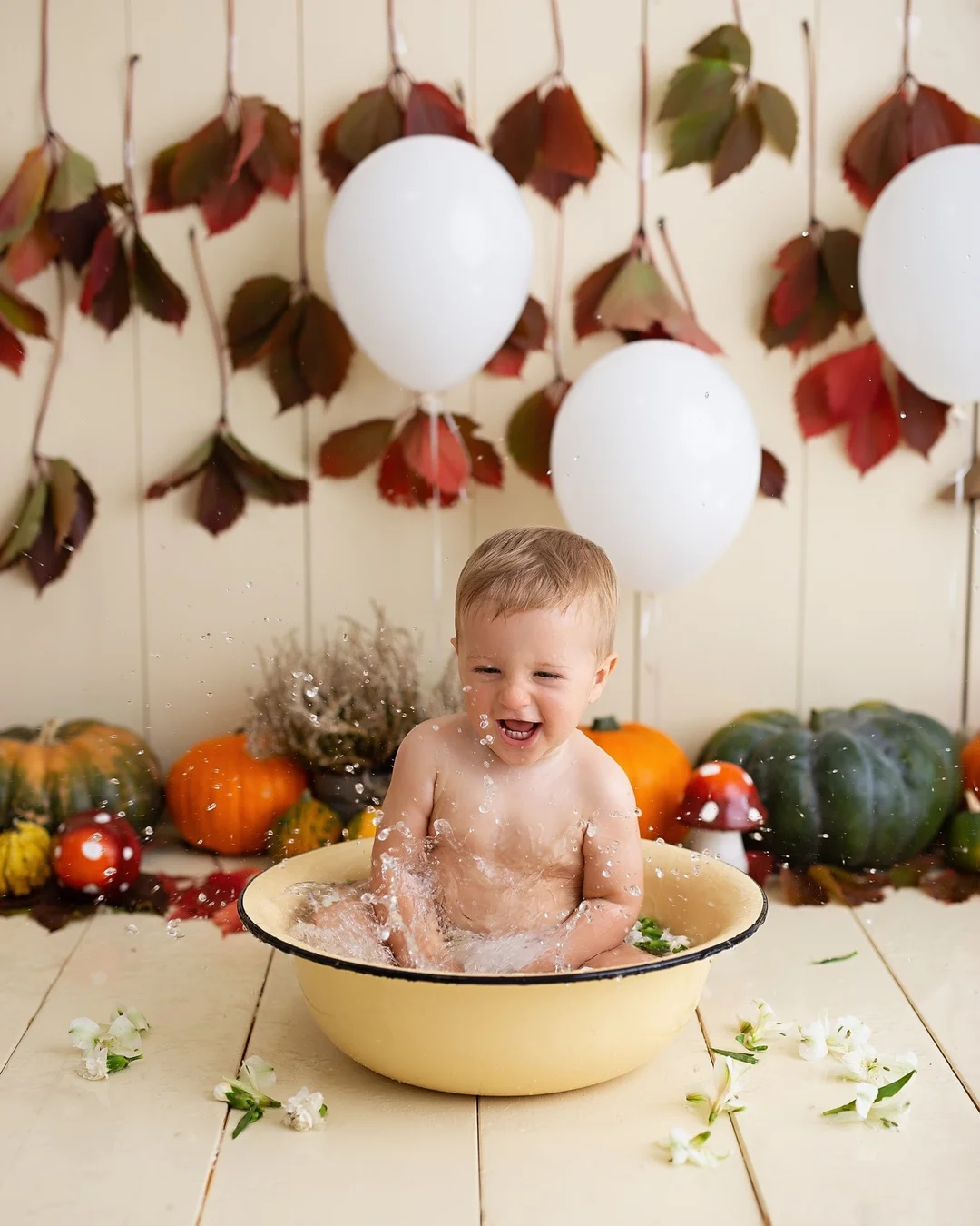 pirmo gimtadienio fotosesija galerija