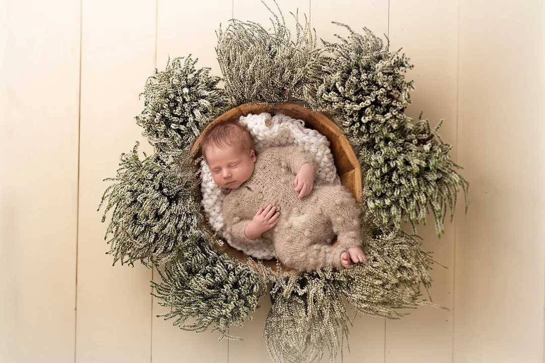 price table Įprasta image