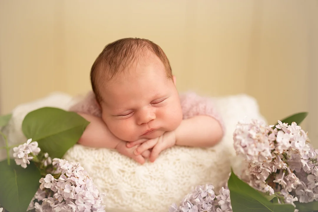 Naujagimio fotosesija galerija