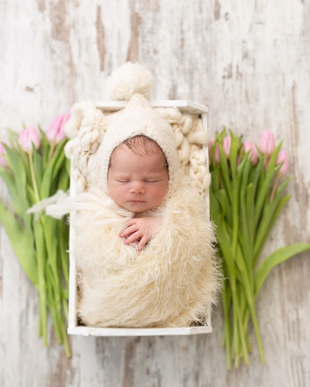 Naujagimio fotosesija galerija