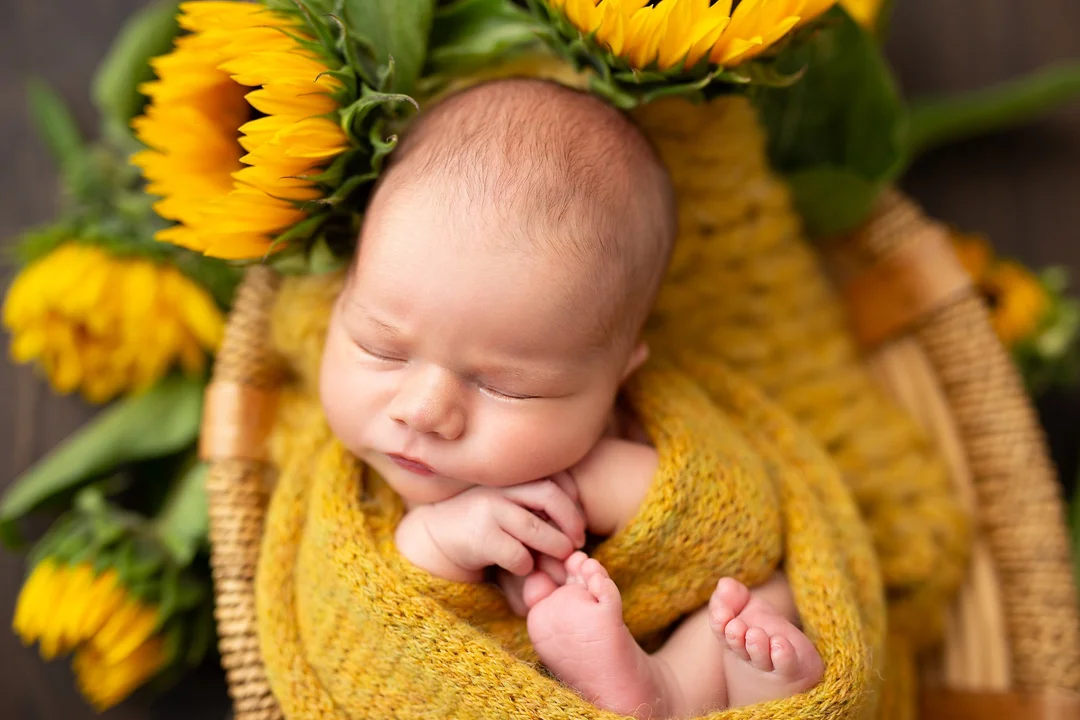 Naujagimio fotosesija galerija