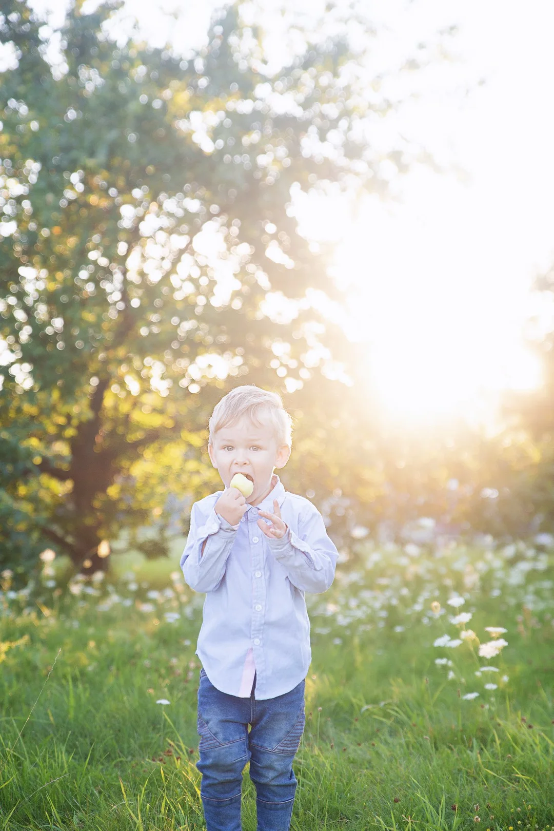 Šeimos fotosesija galerija
